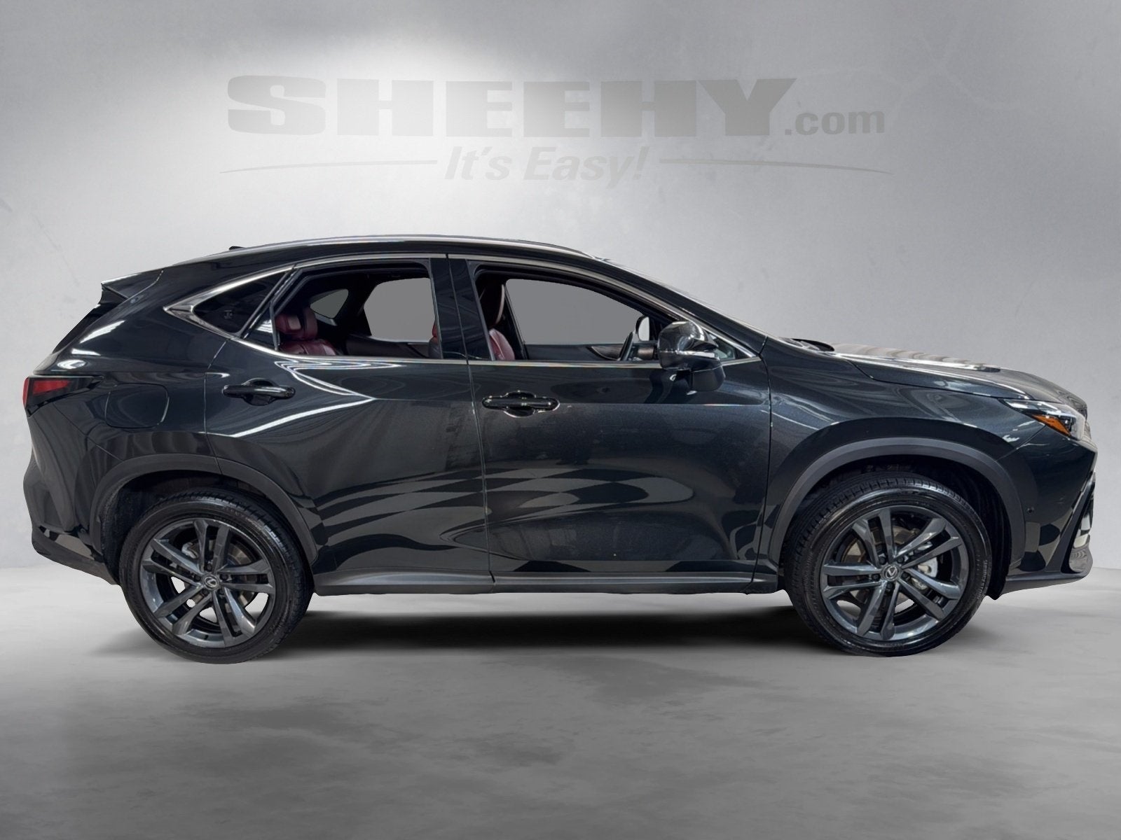 2025 Lexus NX 450h+ Luxury